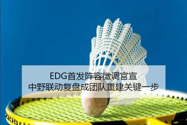 EDG首发阵容微调官宣 中野联动复盘成团队重建关键一步 | YABO